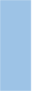 blue rectangle